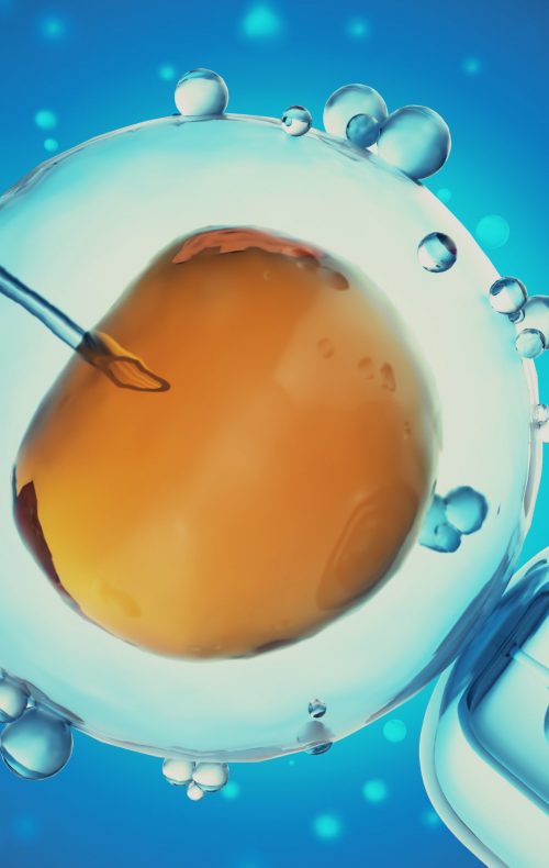 3D Illustration of artificial insemination or in-vitro fertilization of an egg cell,ovum or zygote, Concept, scientific experiment